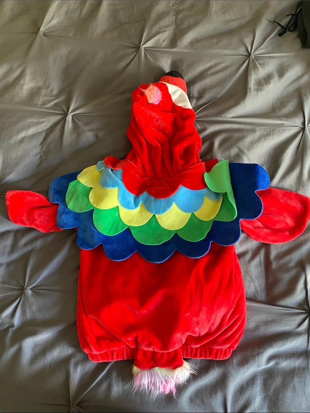Hyde and Eek! Parrot Costume 12-18M